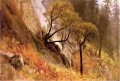 Estudio del paisaje Yosemite California Albert Bierstadt Montaña